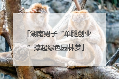 湖南男子“单腿创业”撑起绿色园林梦