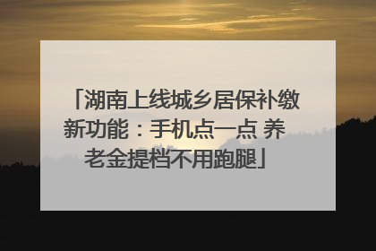 湖南上线城乡居保补缴新功能：手机点一点 养老金提档不用跑腿