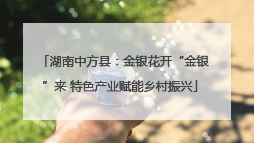 湖南中方县：金银花开“金银”来 特色产业赋能乡村振兴