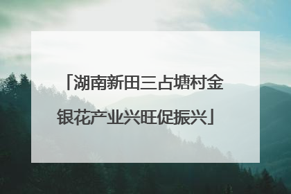 湖南新田三占塘村金银花产业兴旺促振兴