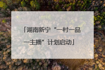 湖南新宁“一村一品一主播”计划启动