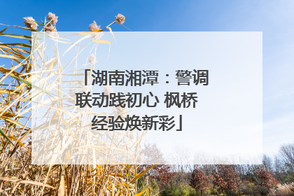 湖南湘潭：警调联动践初心 枫桥经验焕新彩