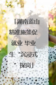 湖南蓝山精准施策促就业 毕业生“沉浸式”探岗