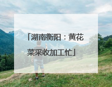 湖南衡阳：黄花菜采收加工忙