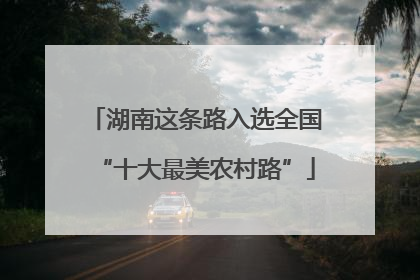 湖南这条路入选全国“十大最美农村路”