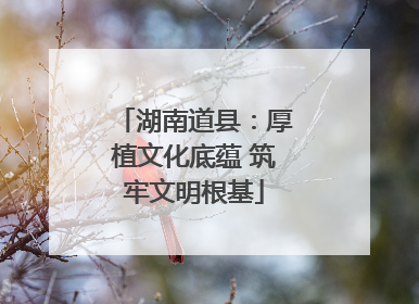 湖南道县：厚植文化底蕴 筑牢文明根基