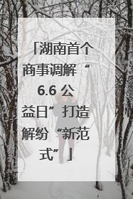 湖南首个商事调解“6.6 公益日”打造解纷“新范式”