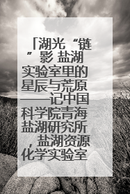 湖光“链”影 盐湖实验室里的星辰与荒原——记中国科学院青海盐湖研究所，盐湖资源化学实验室党总支书记、副主任刘忠