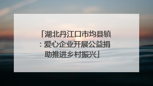 湖北丹江口市均县镇：爱心企业开展公益捐助推进乡村振兴