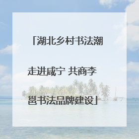 湖北乡村书法潮走进咸宁 共商李邕书法品牌建设