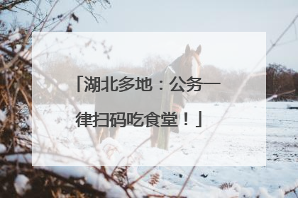 湖北多地：公务一律扫码吃食堂！