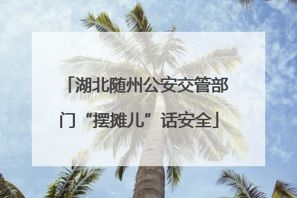 湖北随州公安交管部门“摆摊儿”话安全