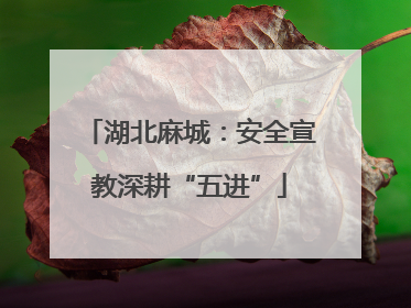湖北麻城：安全宣教深耕“五进”