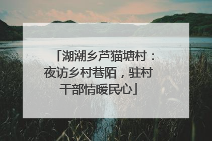 湖潮乡芦猫塘村：夜访乡村巷陌，驻村干部情暖民心