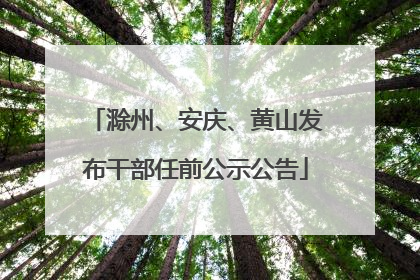 滁州、安庆、黄山发布干部任前公示公告