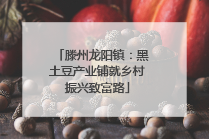 滕州龙阳镇：黑土豆产业铺就乡村振兴致富路