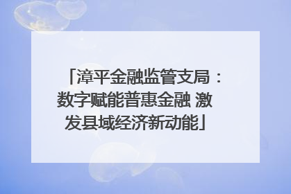 漳平金融监管支局：数字赋能普惠金融 激发县域经济新动能