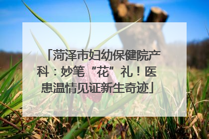 菏泽市妇幼保健院产科：妙笔“花”礼！医患温情见证新生奇迹