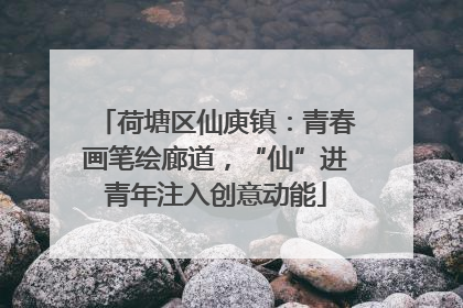 荷塘区仙庾镇：青春画笔绘廊道，“仙”进青年注入创意动能