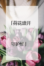 荷花盛开守护忙