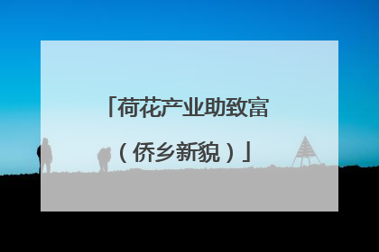 荷花产业助致富（侨乡新貌）