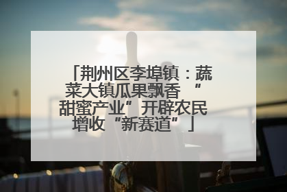 荆州区李埠镇：蔬菜大镇瓜果飘香 “甜蜜产业”开辟农民增收“新赛道”