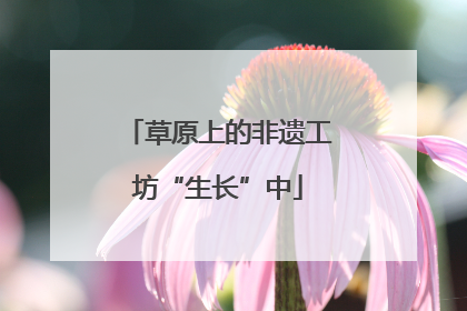草原上的非遗工坊“生长”中