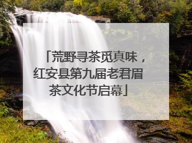 荒野寻茶觅真味，红安县第九届老君眉茶文化节启幕