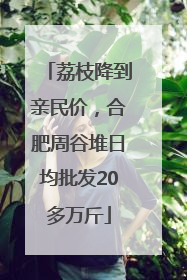 荔枝降到亲民价，合肥周谷堆日均批发20多万斤