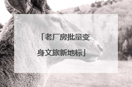 老厂房批量变身文旅新地标