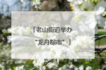老山街道举办“龙舟粽市”