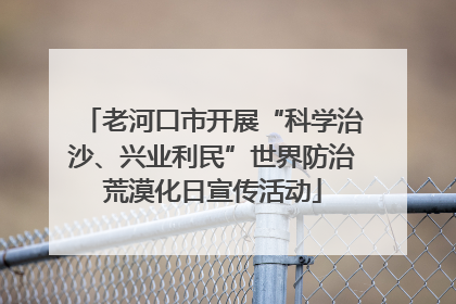 老河口市开展“科学治沙、兴业利民”世界防治荒漠化日宣传活动