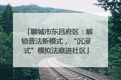 聊城市东昌府区：解锁普法新模式，“沉浸式”模拟法庭进社区