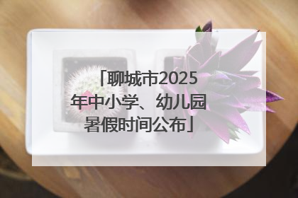 聊城市2025年中小学、幼儿园暑假时间公布