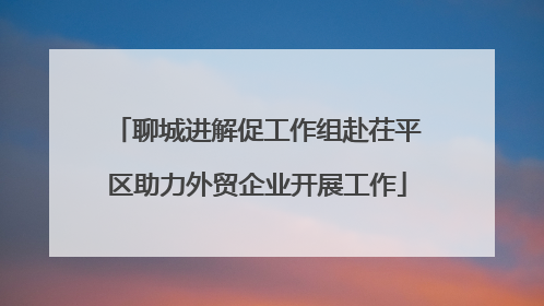 聊城进解促工作组赴茌平区助力外贸企业开展工作