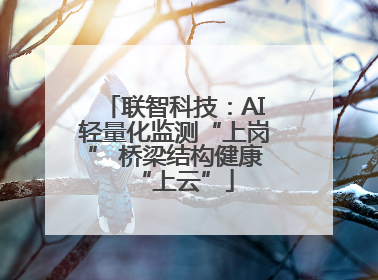 联智科技：AI轻量化监测“上岗” 桥梁结构健康“上云”
