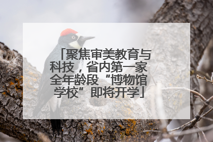 聚焦审美教育与科技，省内第一家全年龄段“博物馆学校”即将开学