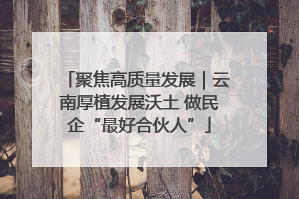 聚焦高质量发展｜云南厚植发展沃土 做民企“最好合伙人”