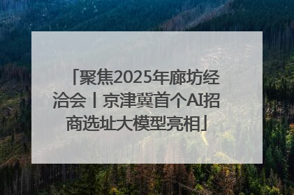 聚焦2025年廊坊经洽会丨京津冀首个AI招商选址大模型亮相