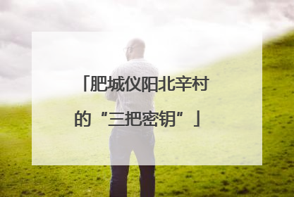 肥城仪阳北辛村的“三把密钥”