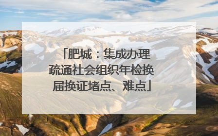 肥城：集成办理 疏通社会组织年检换届换证堵点、难点