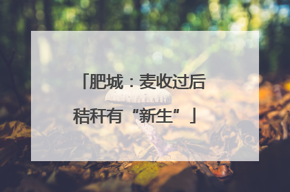 肥城：麦收过后秸秆有“新生”