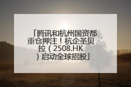 腾讯和杭州国资都重仓押注！杭企圣贝拉（2508.HK）启动全球招股