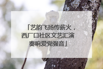 艺韵飞扬传薪火，西厂口社区文艺汇演奏响爱党强音