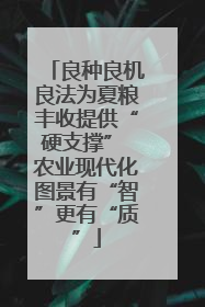 良种良机良法为夏粮丰收提供“硬支撑” 农业现代化图景有“智”更有“质”