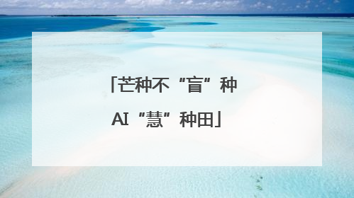 芒种不“盲”种 AI“慧”种田
