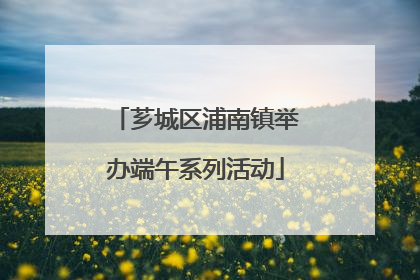 芗城区浦南镇举办端午系列活动