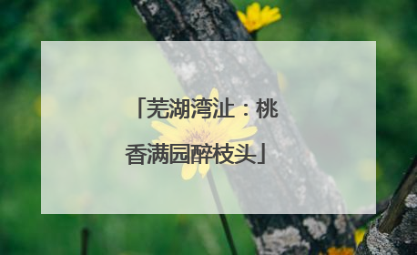 芜湖湾沚：桃香满园醉枝头