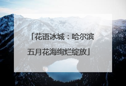 花语冰城：哈尔滨五月花海绚烂绽放