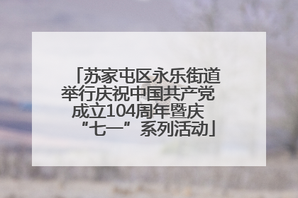 苏家屯区永乐街道举行庆祝中国共产党成立104周年暨庆“七一”系列活动